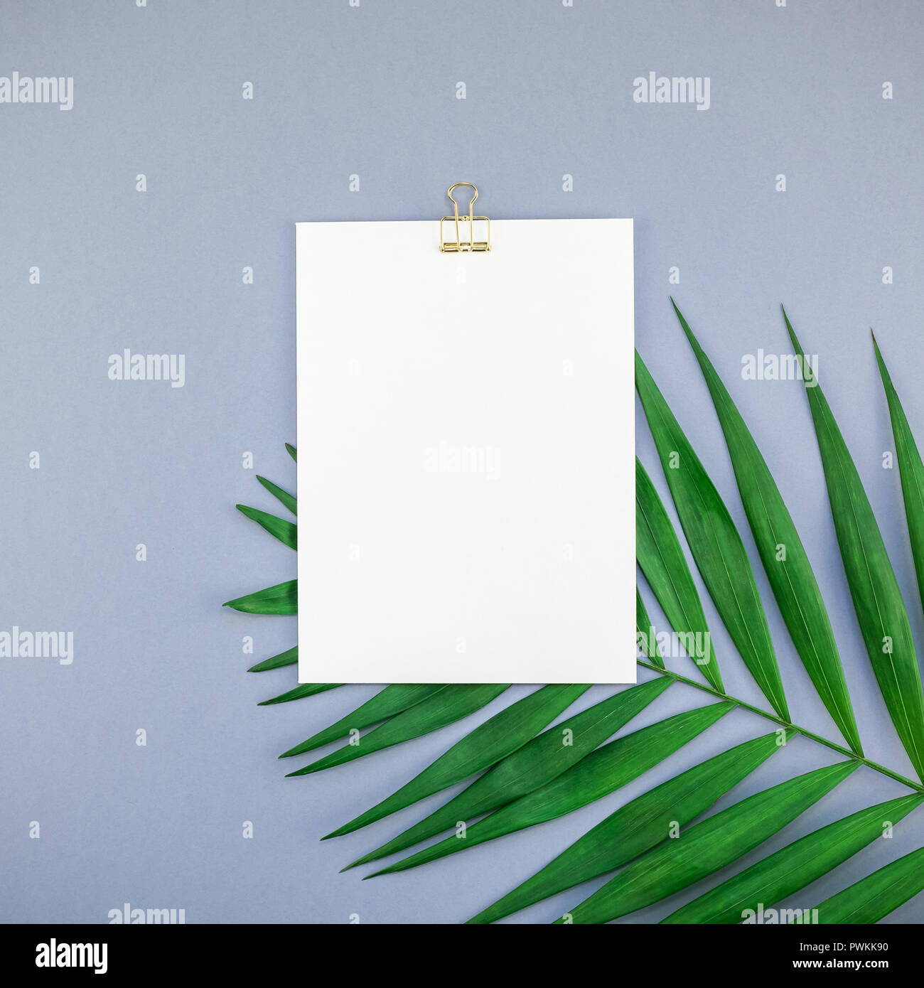 Creative flat lay top view mock up blank paper sheet postcard clipboard ...