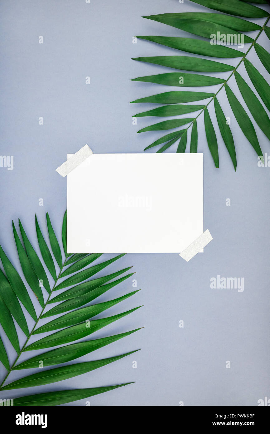 Creative flat lay top view mock up blank paper sheet postcard clipboard ...