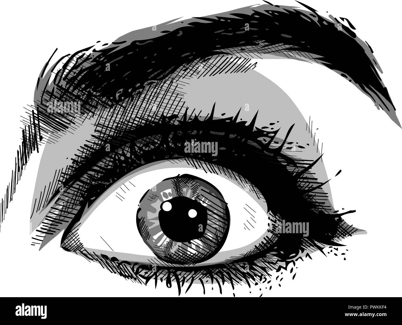 Close-up scared face of beautiful woman with beautiful blue eyes and big pretty eyelashes and eyebrows. Macro of human eyes - surprise or shock, looking at camera. Stock Vector