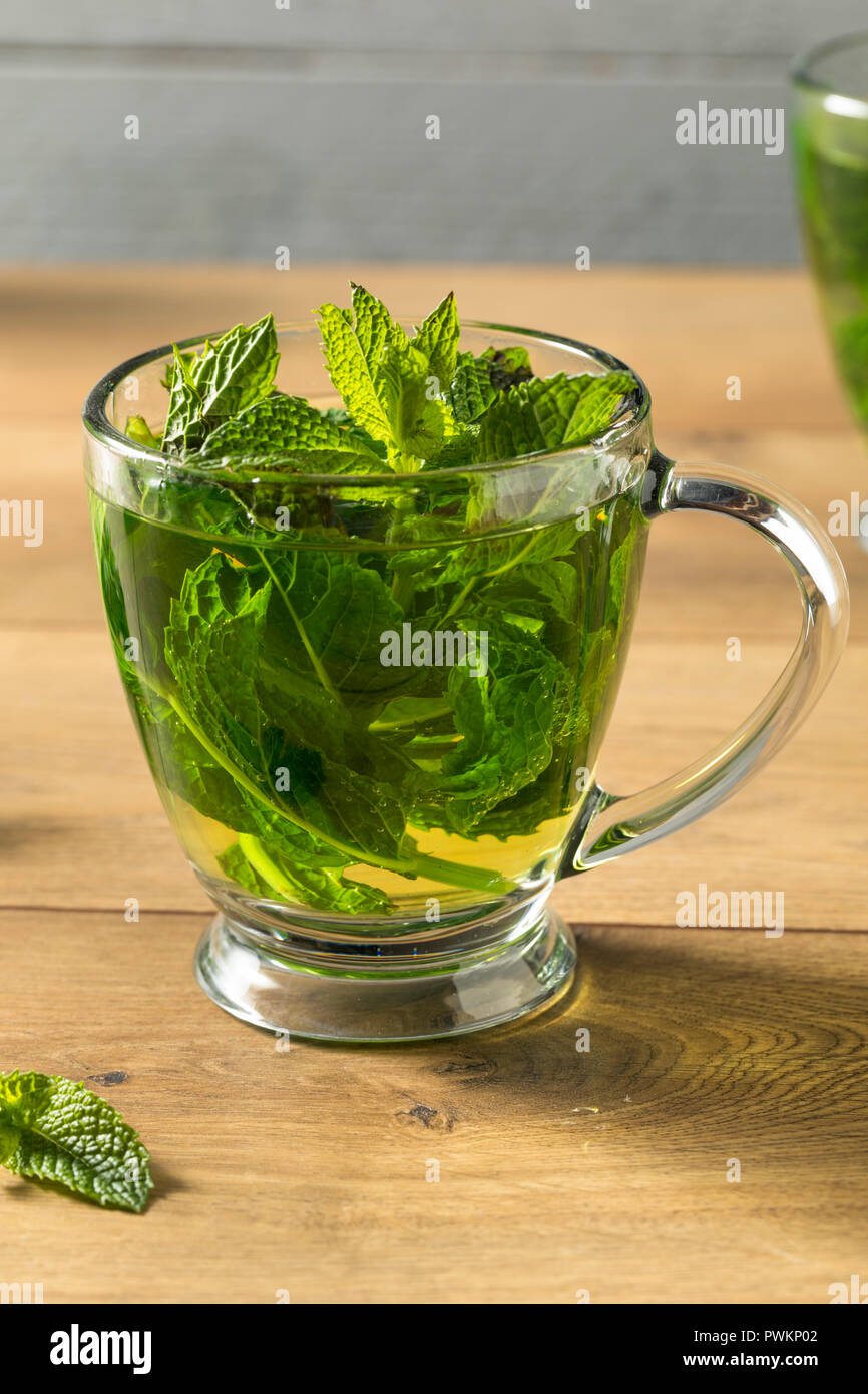 Homemade Hot Fresh Mint Tea in a Mug Stock Photo Alamy