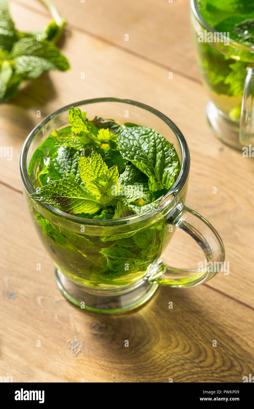 Homemade Hot Fresh Mint Tea in a Mug Stock Photo