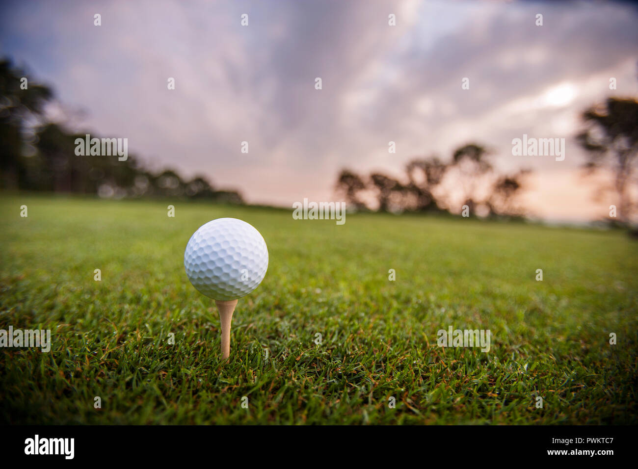 Golf ball sitting on a tee on smooth grass under a cloudy glowing sky. Stock Photo
