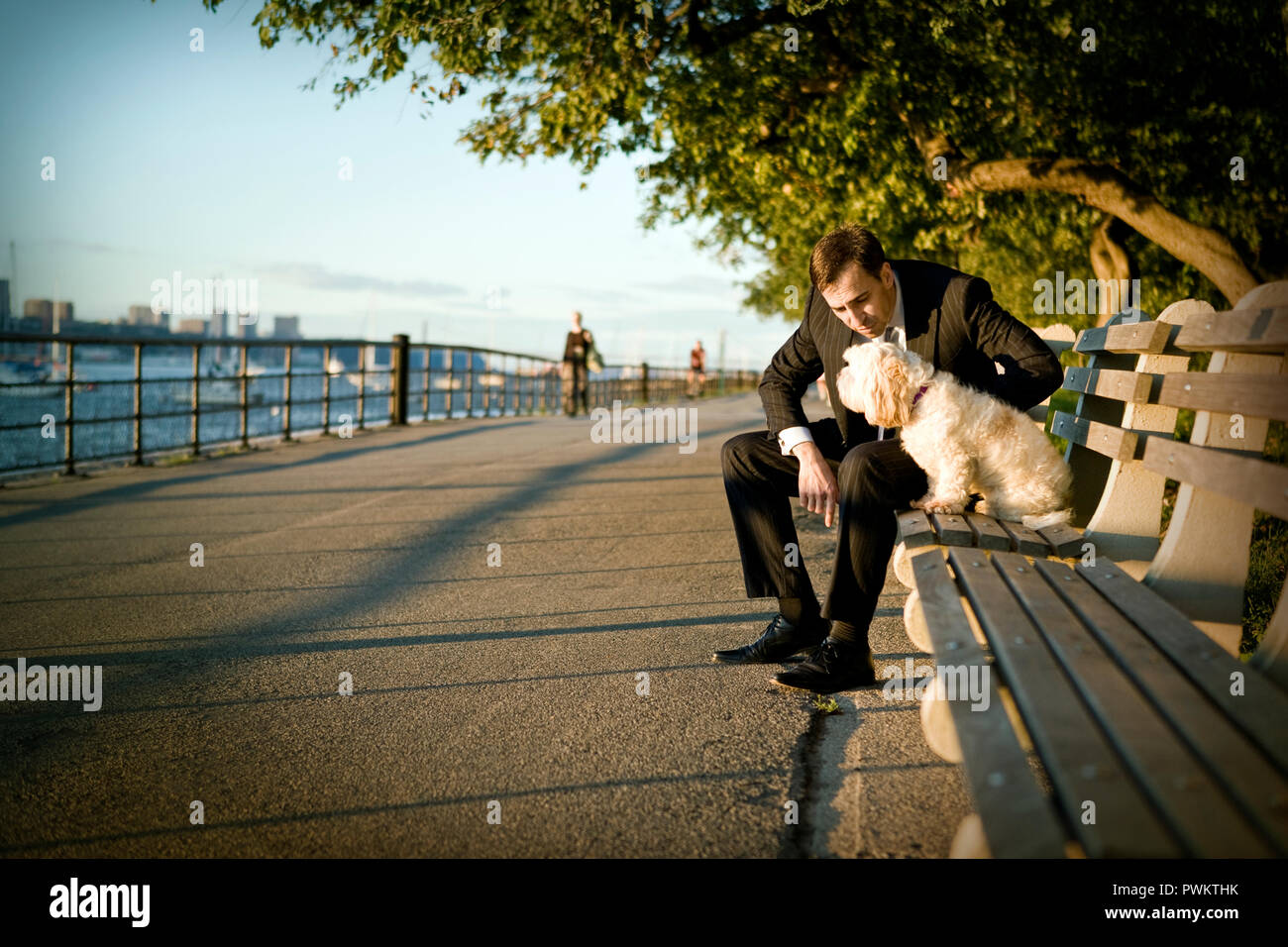 Mid-adult businessman sitting on a bench with his dog. Stock Photo