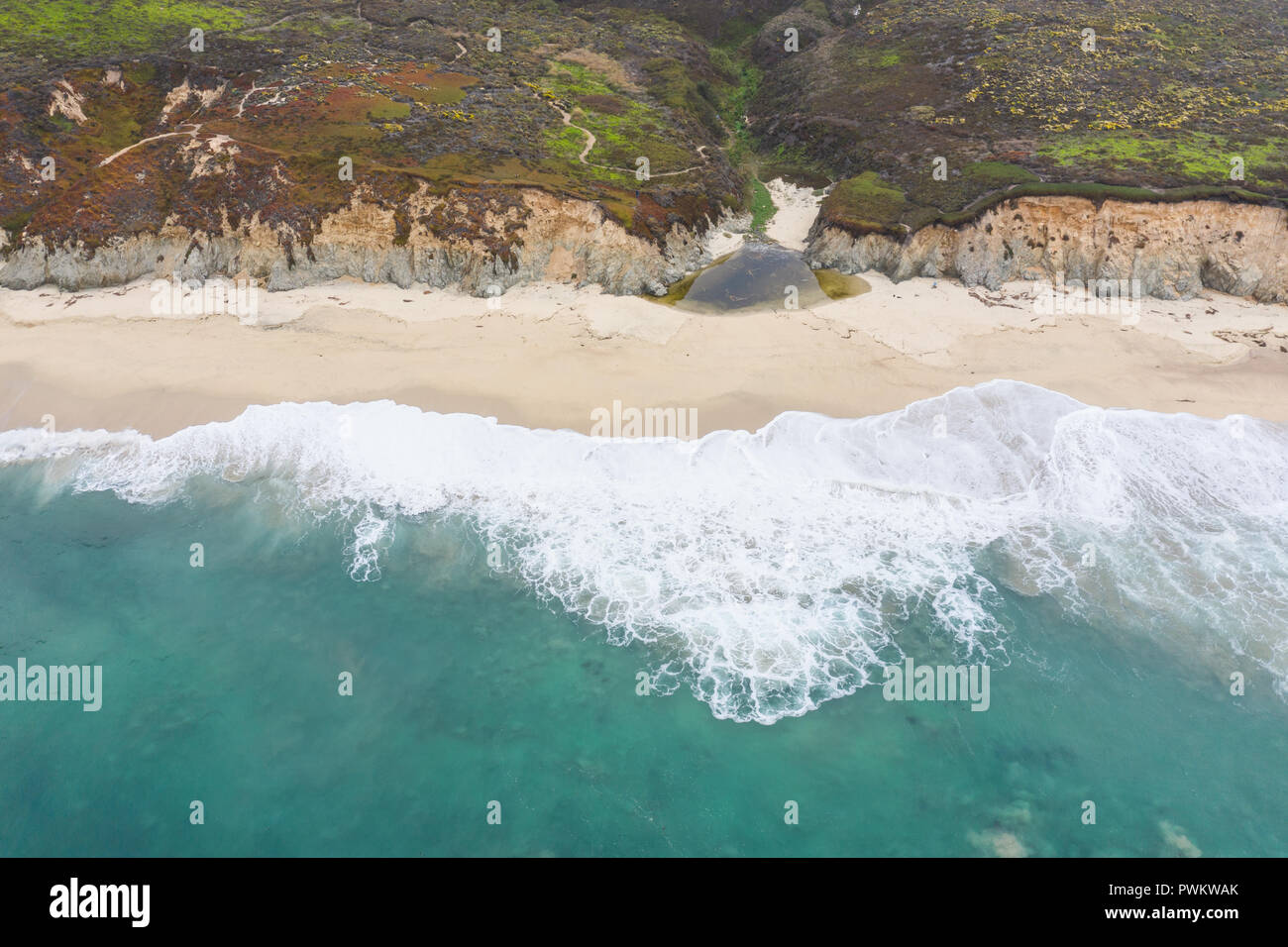 The cold, nutrientrich waters of the North Pacific Ocean wash against
