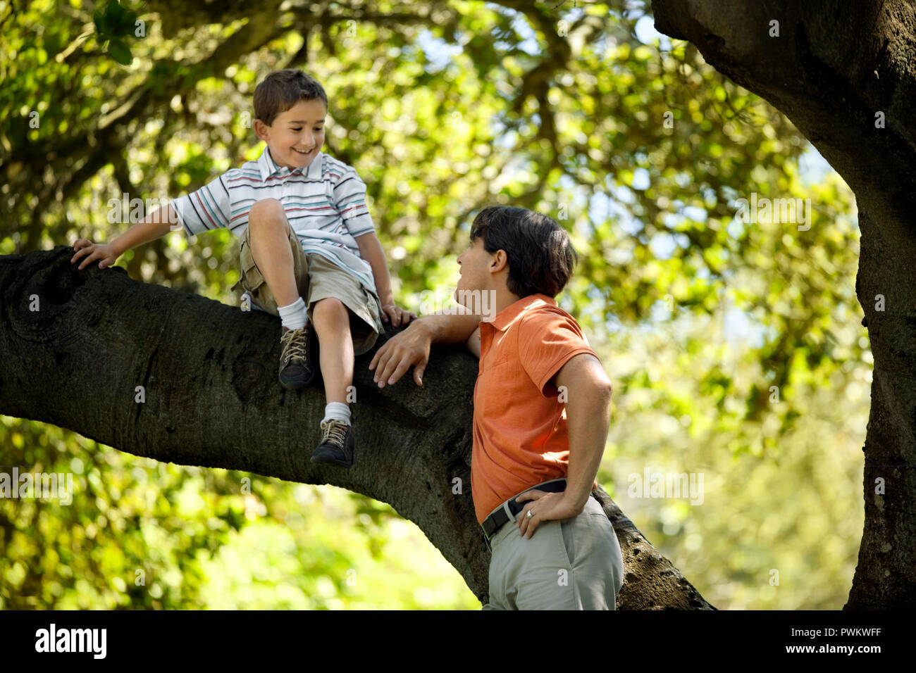 Father talks to his son climbing a tree. Stock Photo