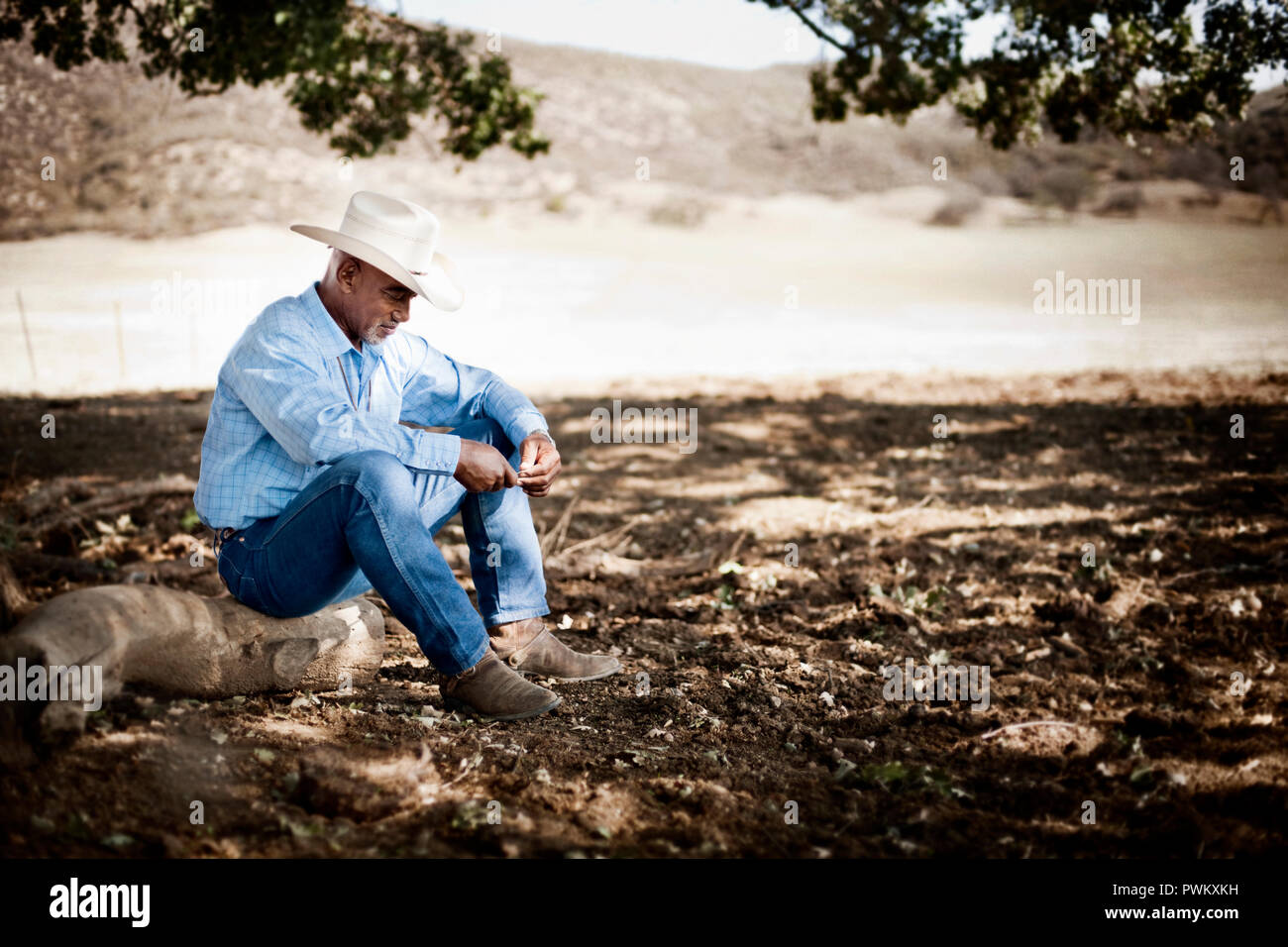 Man wearing a cowboy hat takes a break and sits on his own on a log under a tree Stock Photo Alamy