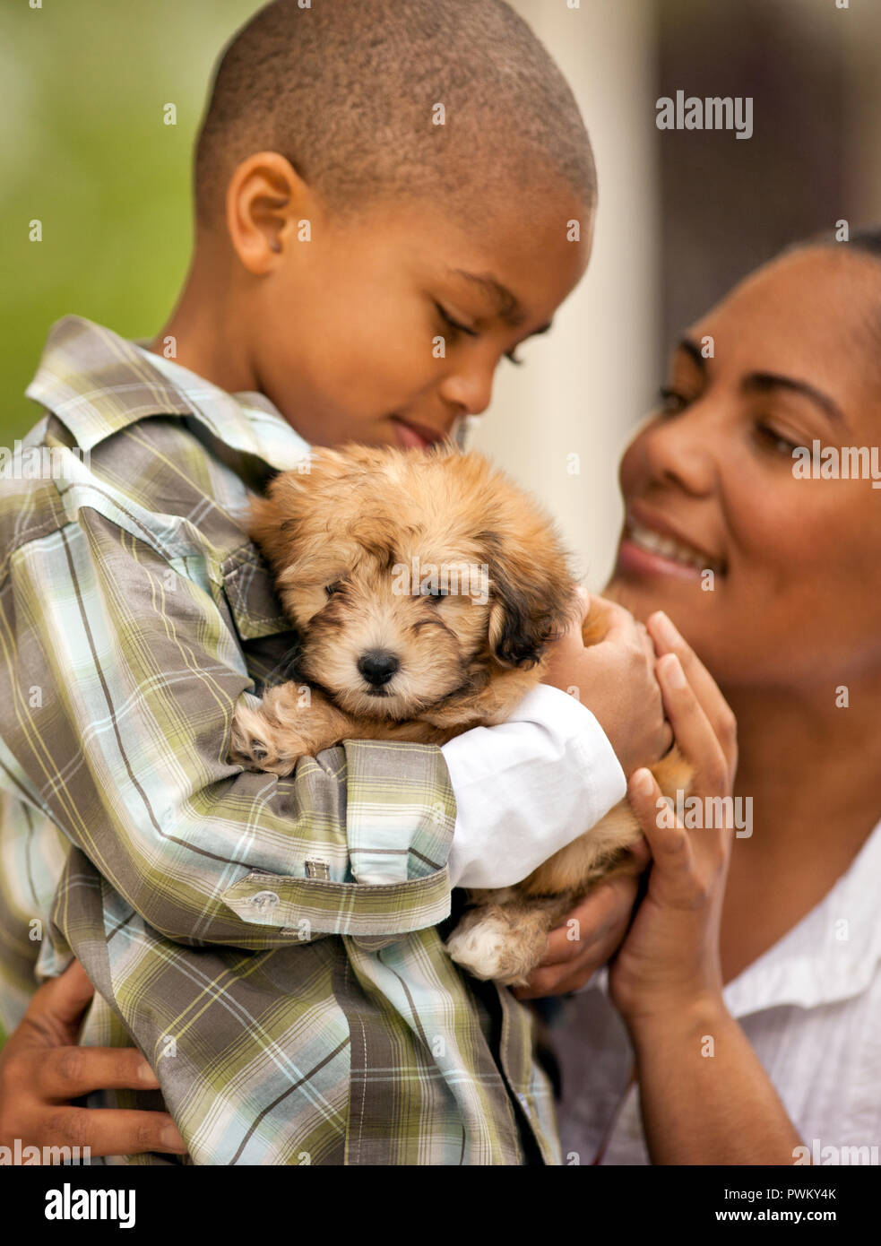 Young boy holding a puppy. Stock Photo