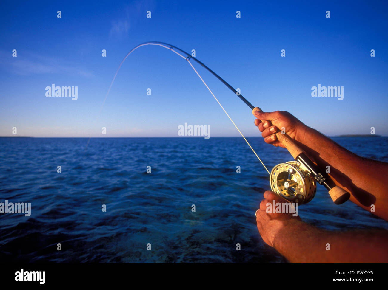 Scene from saltwater fly fishing for bonefish, tarpon, roosterfish, mahi mahi, tuna, mackerel, and permit. Stock Photo