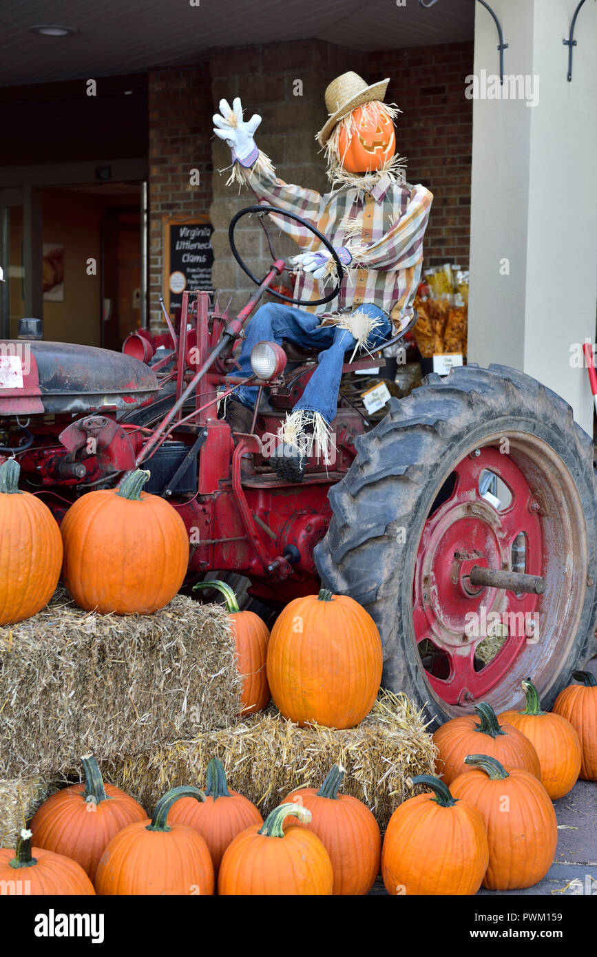 American holiday celebrations hires stock photography and images Alamy