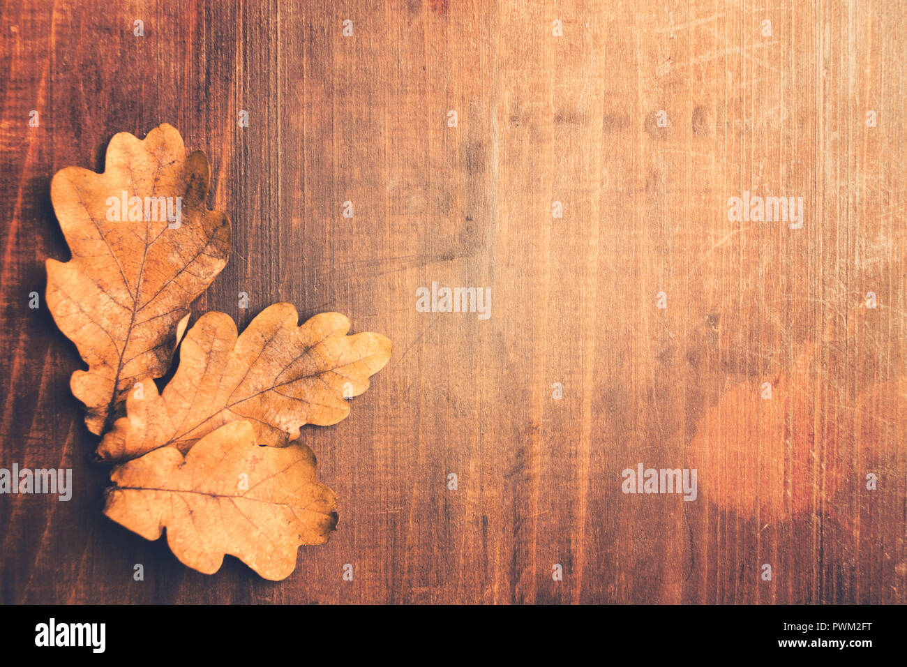 Toned autumn photo with oaken leaves over wooden table with copy space ...