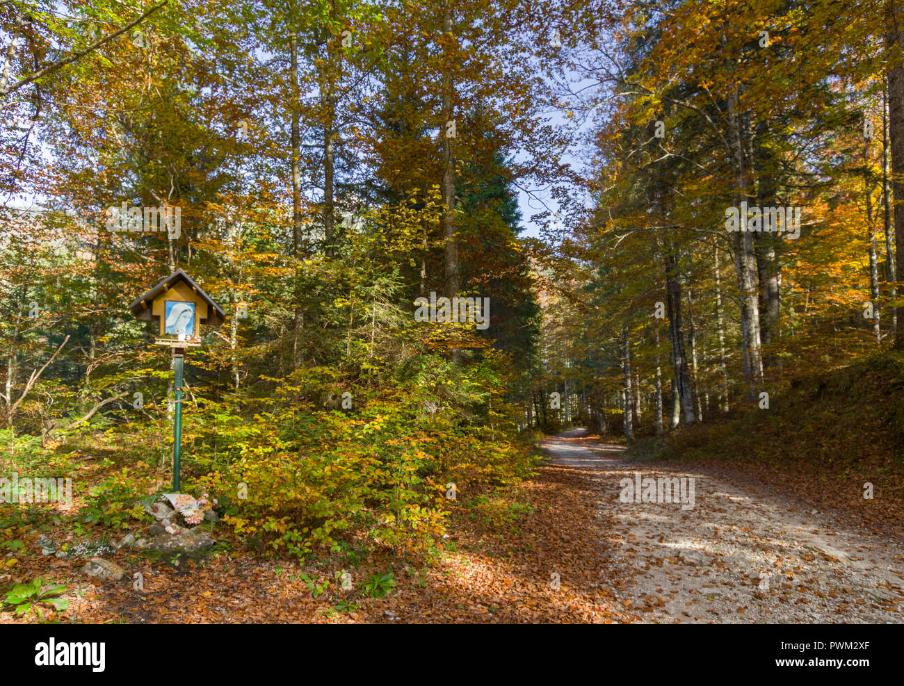 A trail on the italian Alps in Val Saisera Valley in autumn with a small altarpiece on the left side Stock Photo