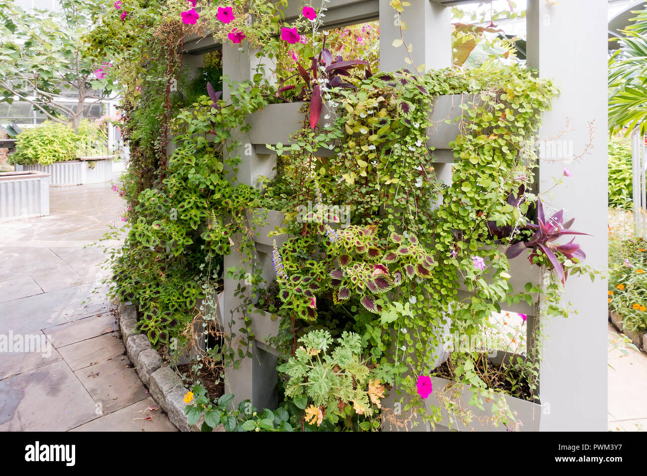 Vertical garden built into a decorative outdoor fence - USA Stock Photo