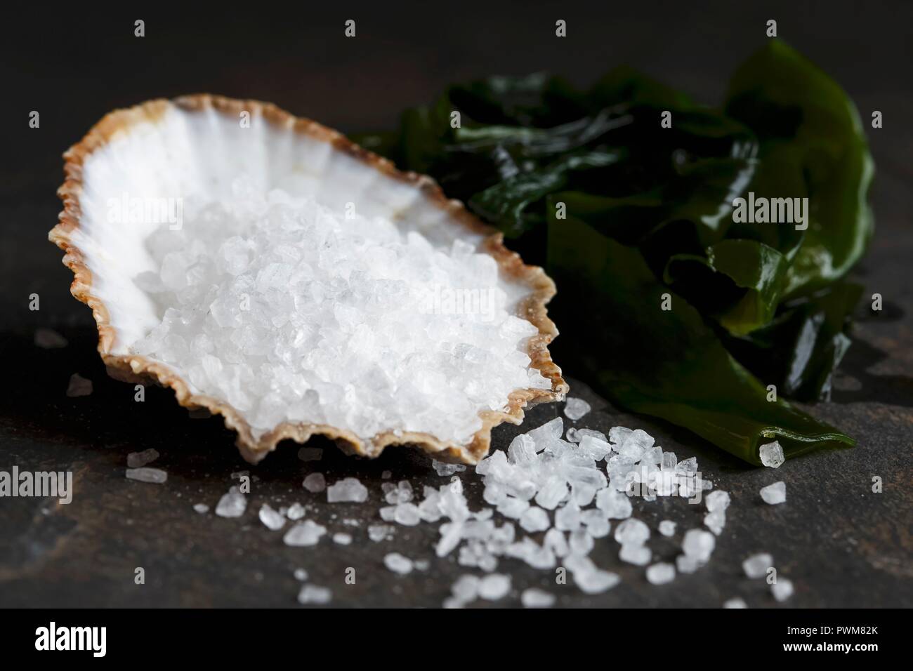Coarse salt in a sea shell next to wakame seaweed and spilled salt, on dark stone. Stock Photo