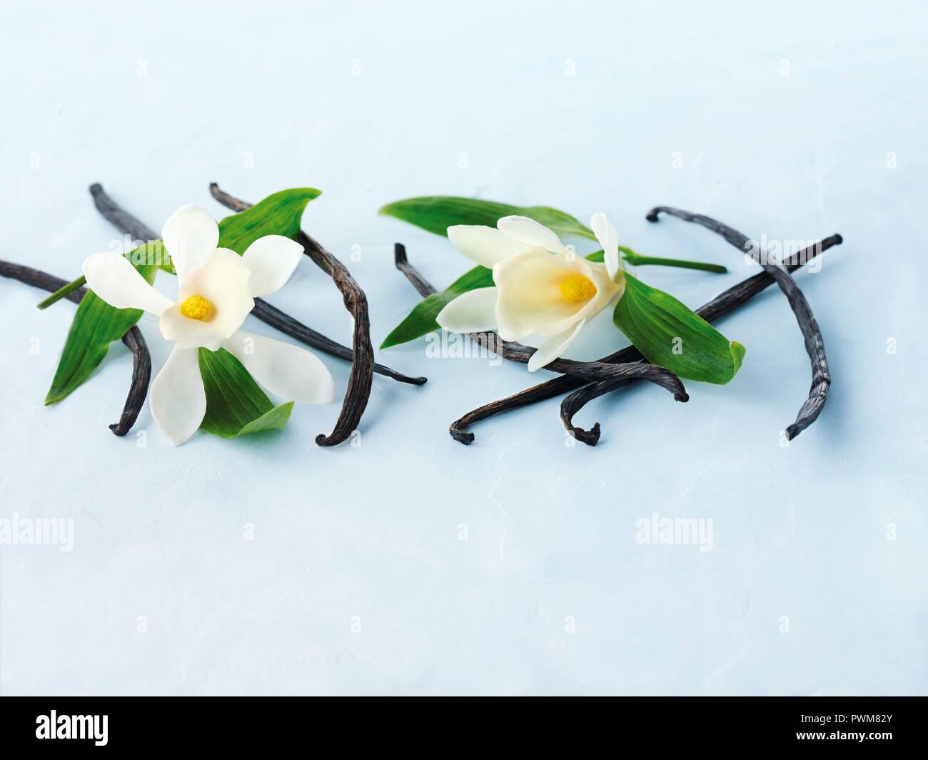 Vanilla pods and vanilla flowers Stock Photo Alamy