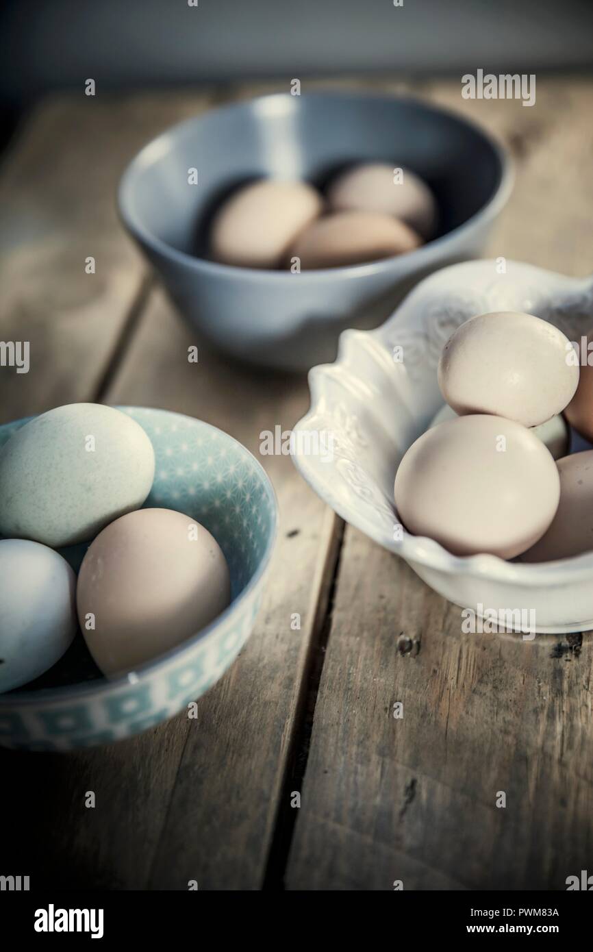 Various eggs in ceramic bowls Stock Photo Alamy
