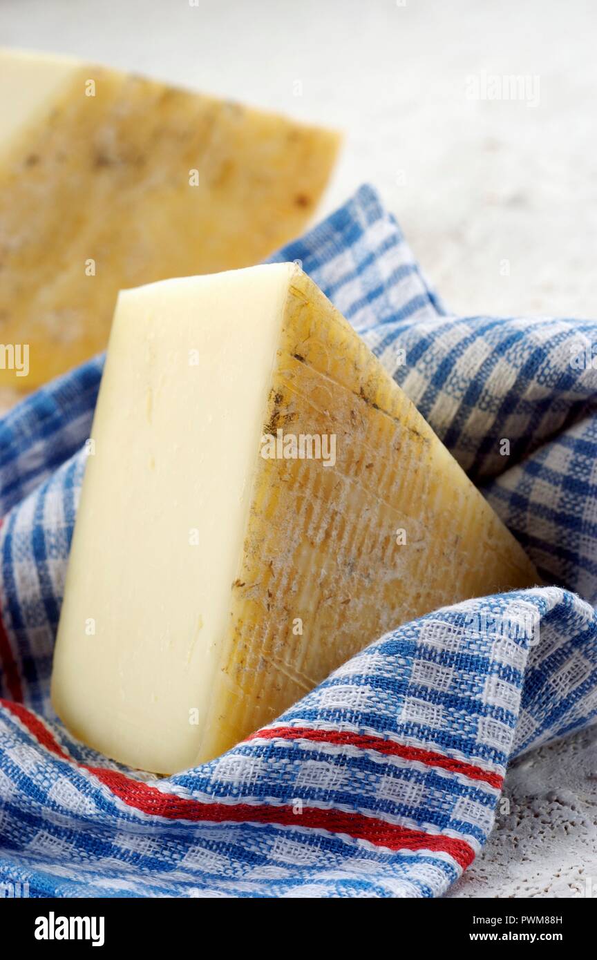 Caciotta romana (Italian sheep's cheese) Stock Photo