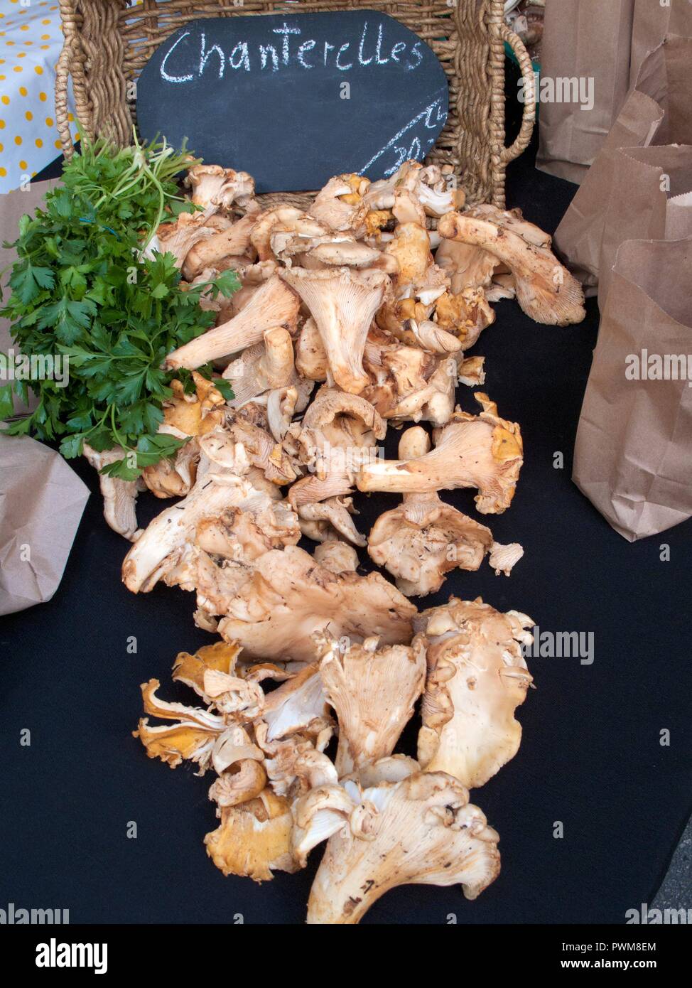 Fresh edible chanterelle mushrooms sale hires stock photography and