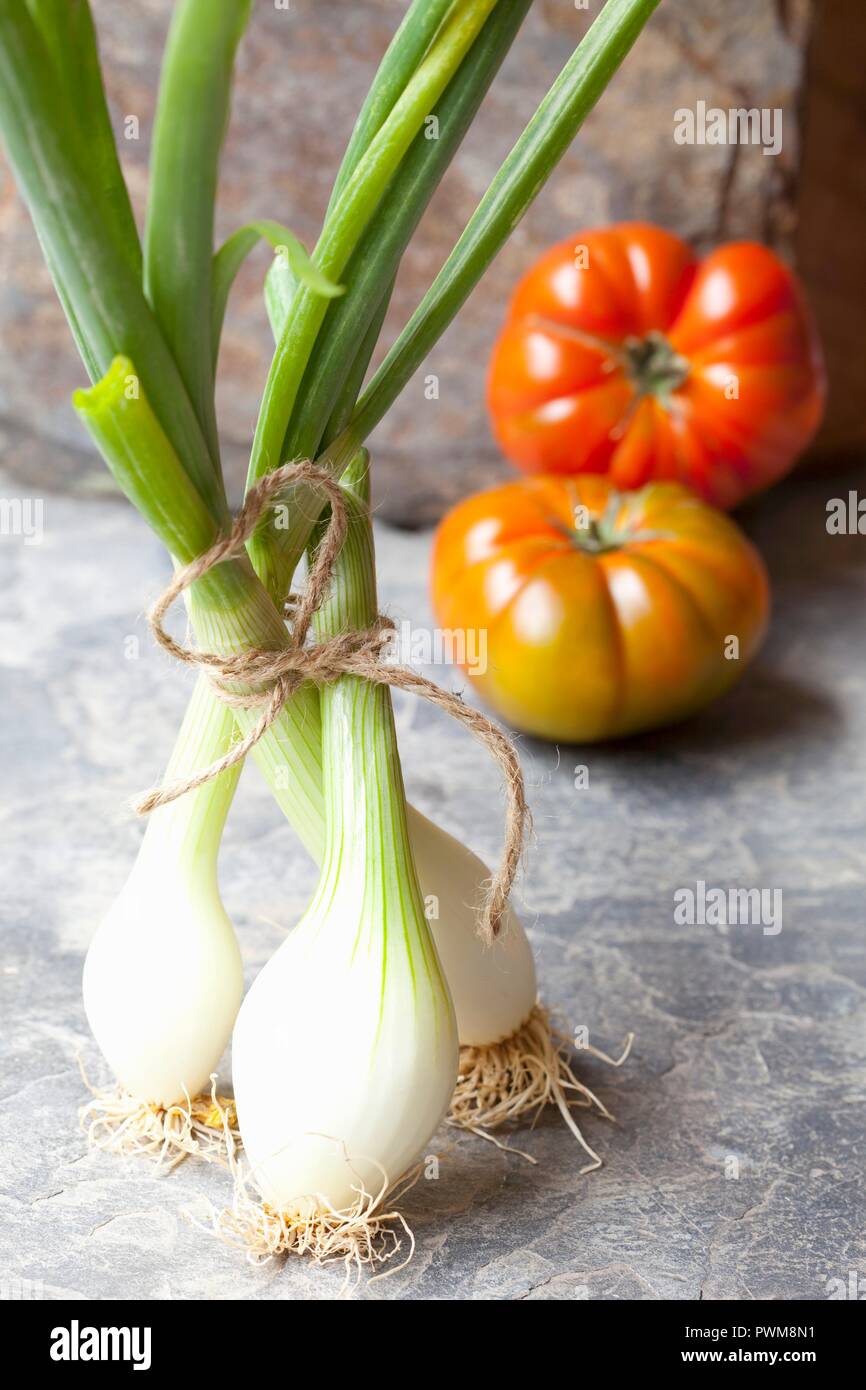 Types of spring rolls hi-res stock photography and images - Alamy