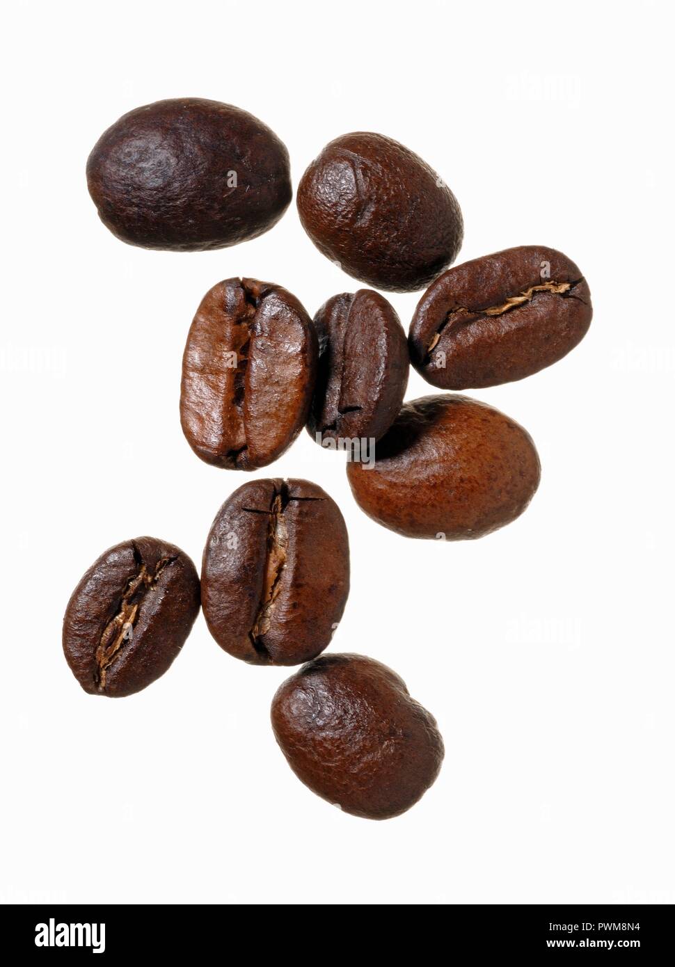 Robusta coffee beans Stock Photo Alamy