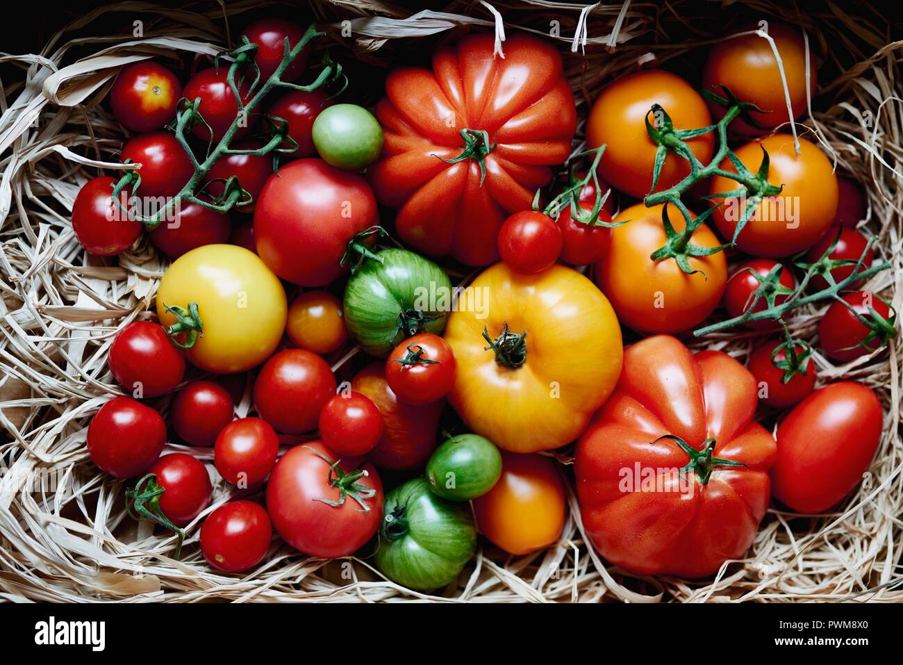 An arrangement of various tomatoes Stock Photo