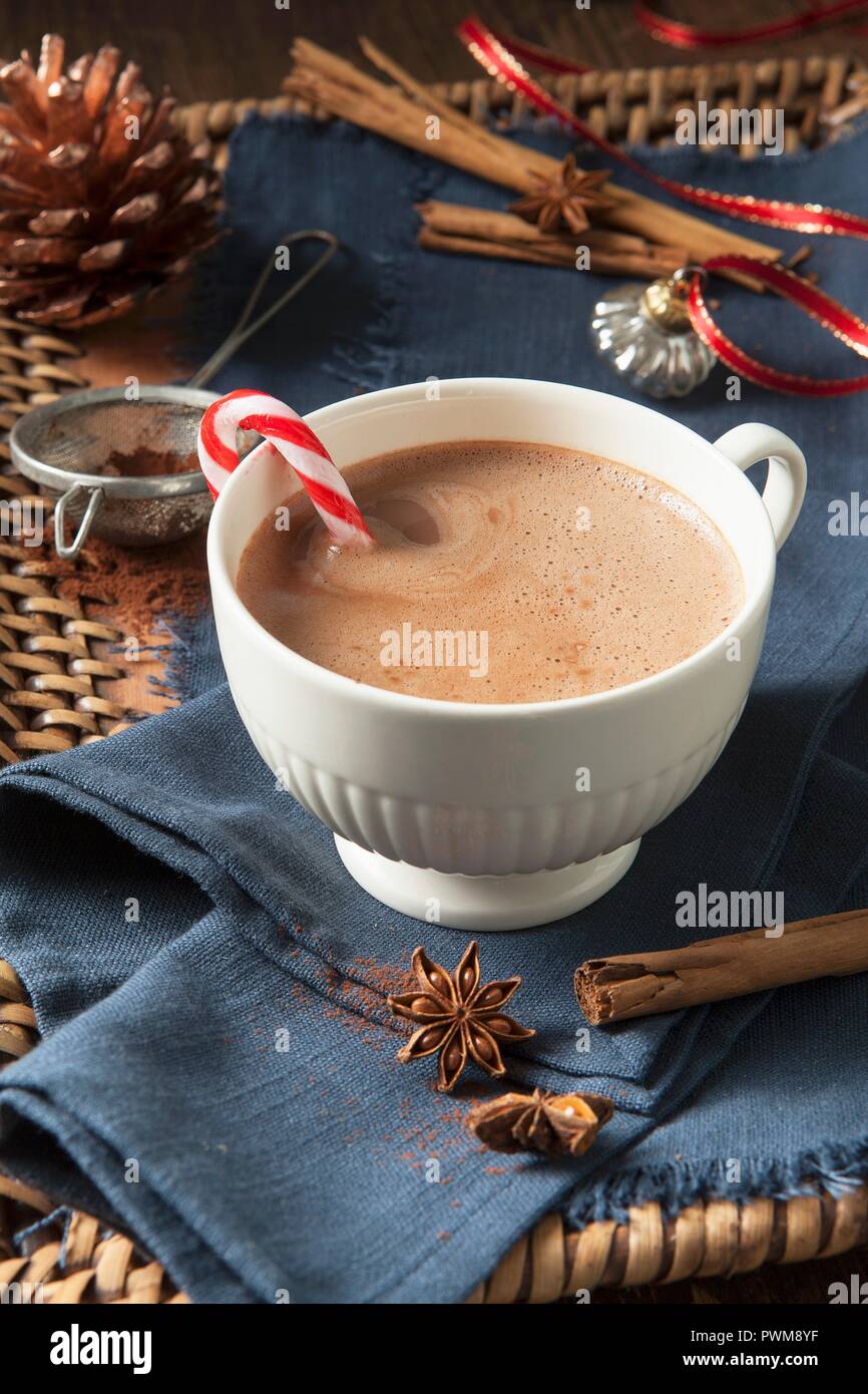 A white cup of hot chocolate with a candy cane in it, surrounded by Christmas spices Stock Photo