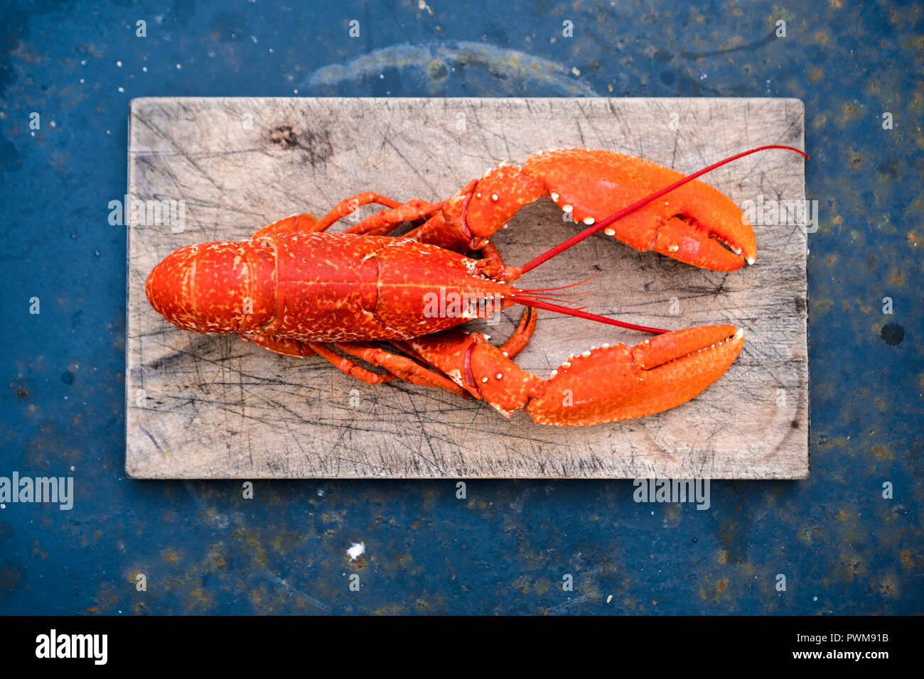 Lobster dish birds eye view hires stock photography and images Alamy