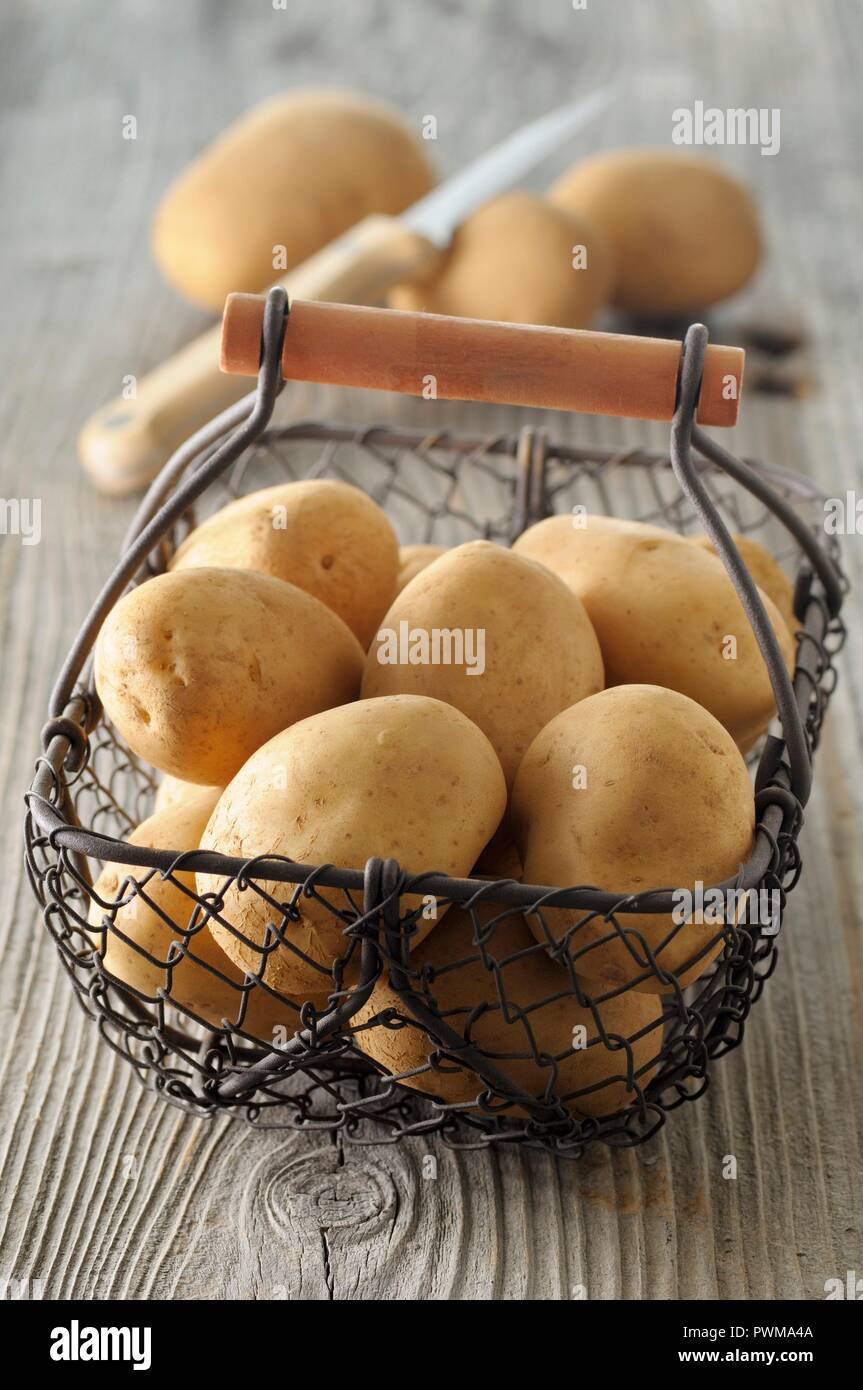 Wire varieties hires stock photography and images Alamy