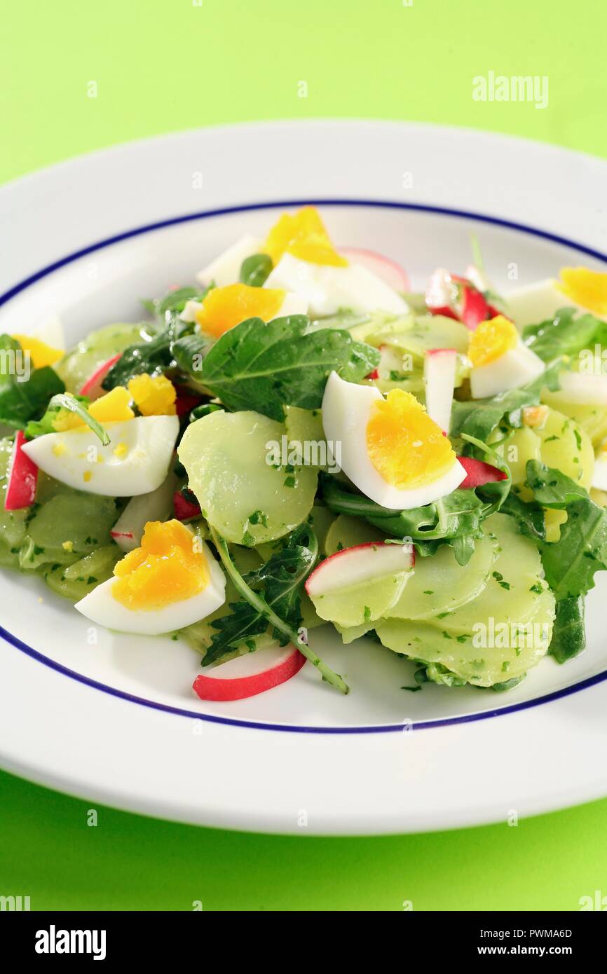 Potato salad with rocket, radishes and egg Stock Photo Alamy