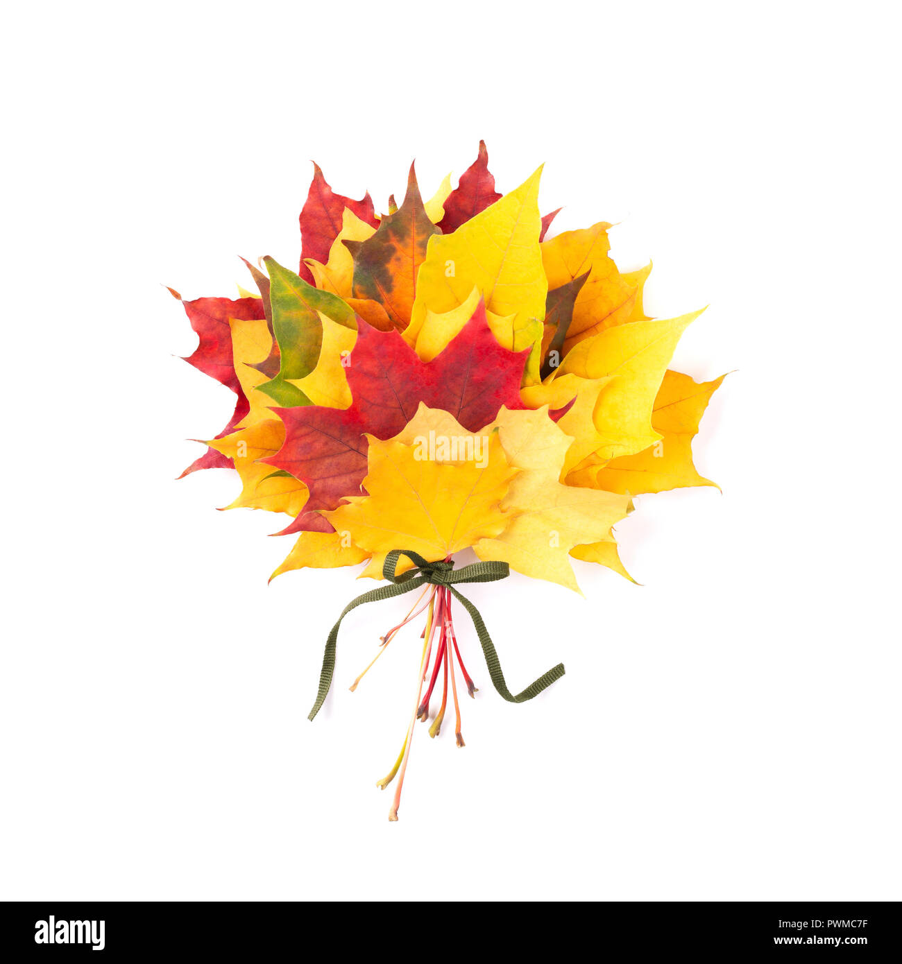 Bouquet of red and yellow maple leaves tied green ribbon. Isolated, top view. Stock Photo