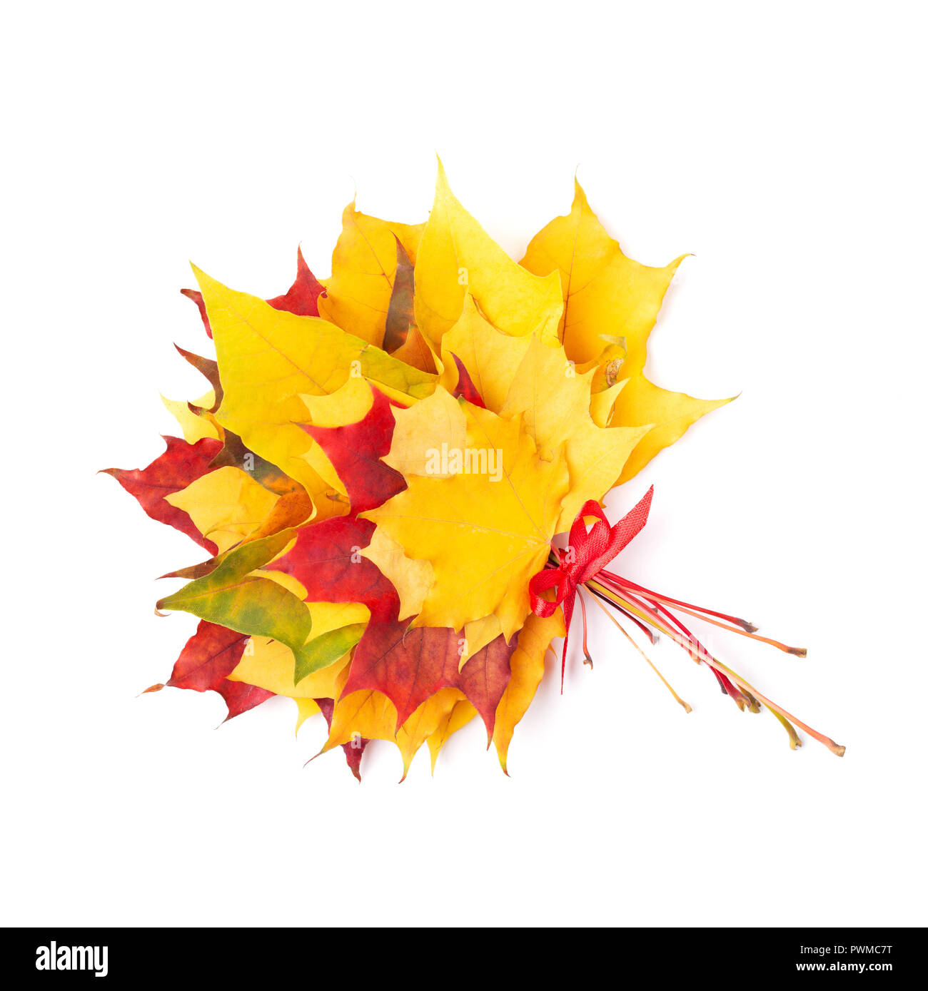 Bouquet of red and yellow maple leaves tied red ribbon. Isolated, top view. Stock Photo