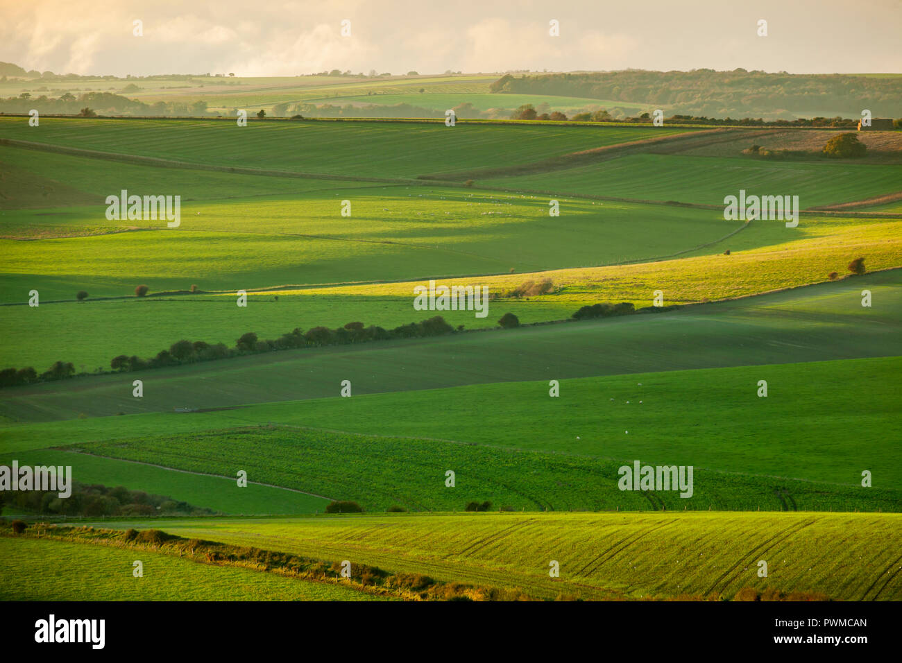 Autumn evening in South Downs National Park, West Sussex, England. Stock Photo