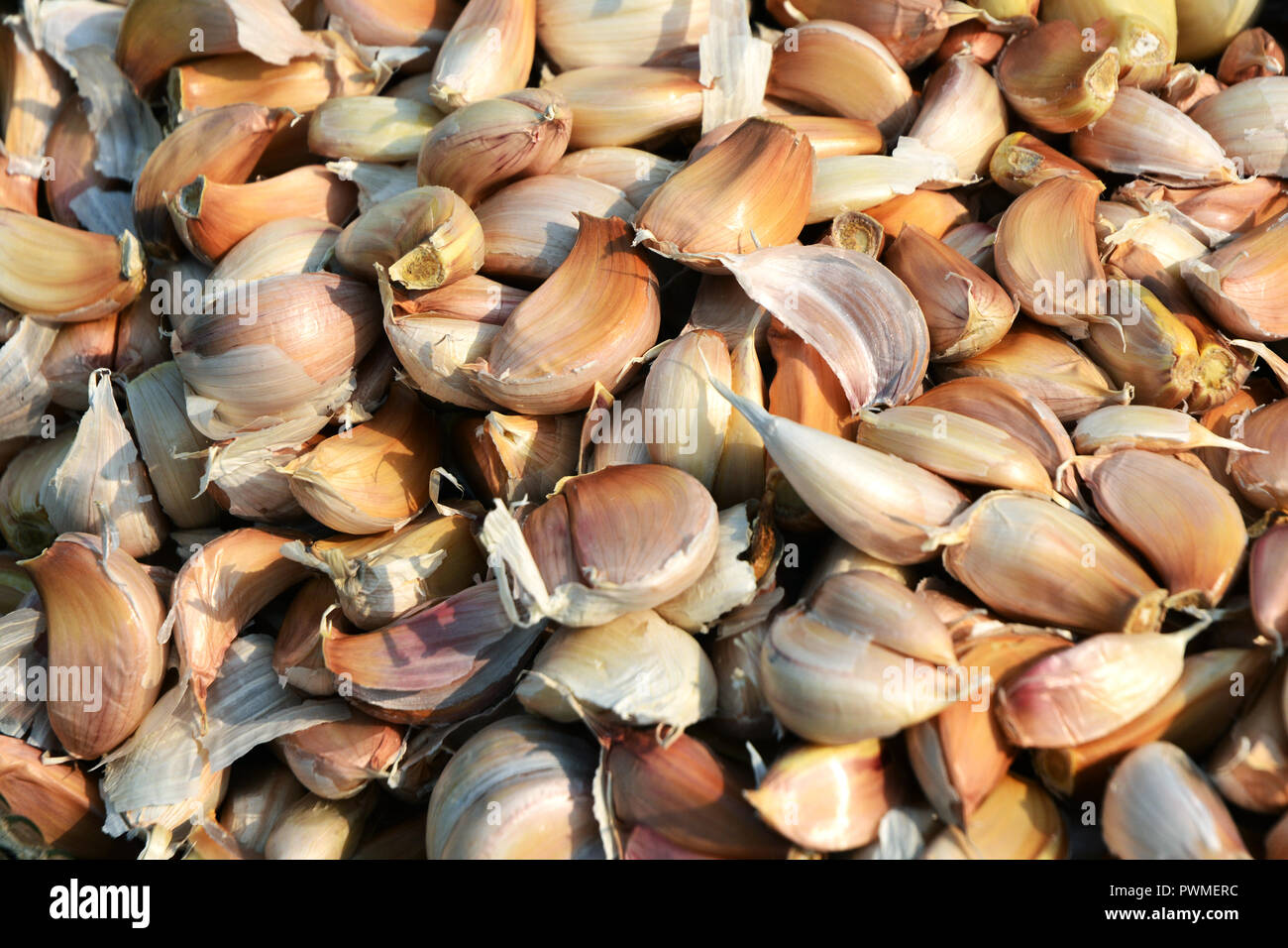Common Garlic Allium Garlic in thai kitchen Stock Photo
