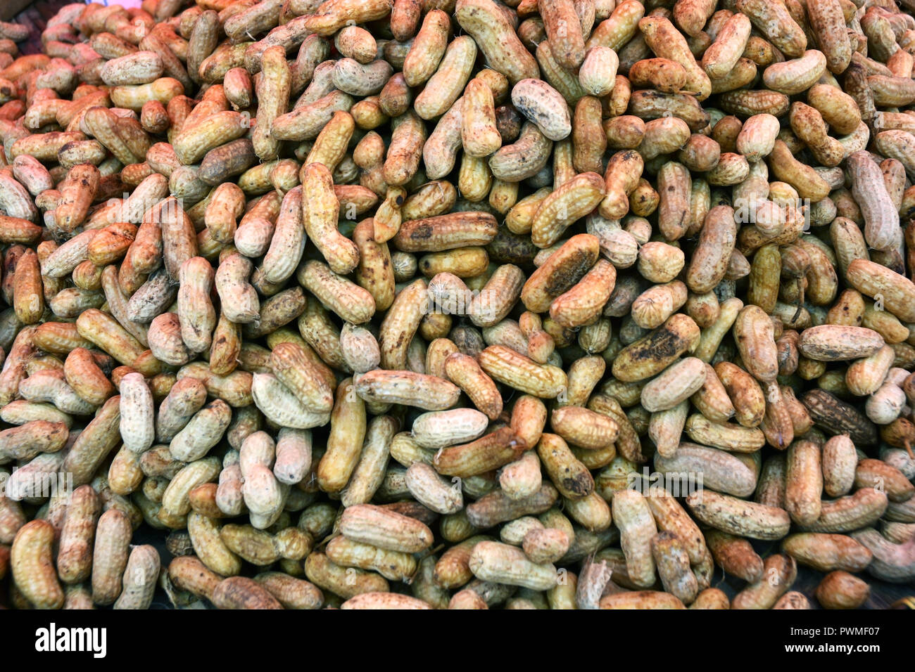 A pile of roasted peanuts in their shells Stock Photo Alamy