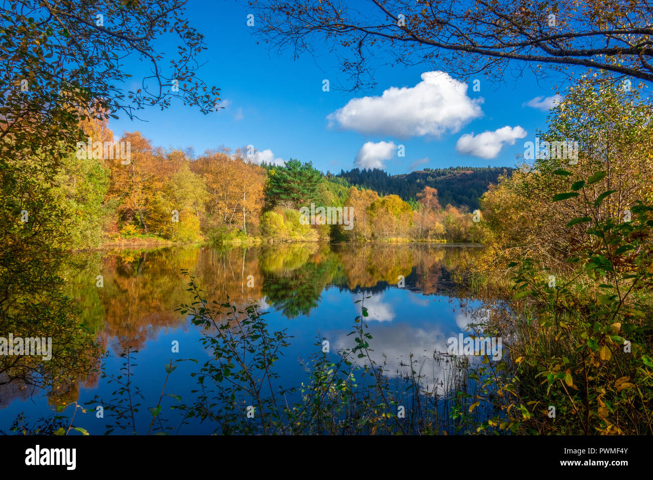 Autumn Trees on a Sunny Day in the Trossachs, Scotland, UK Stock Photo