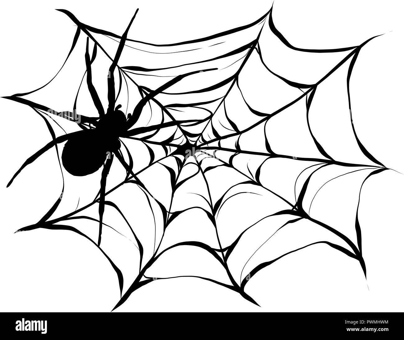 Black spider and torn web. Scary spiderweb of halloween symbol. Isolated on white  illustration Stock Photo