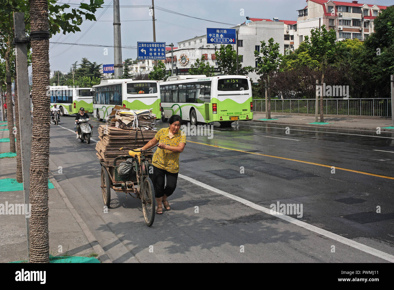 Woman pulling three wheeled trike stacked with cardboard for recycling, Shanghai, China Stock Photo
