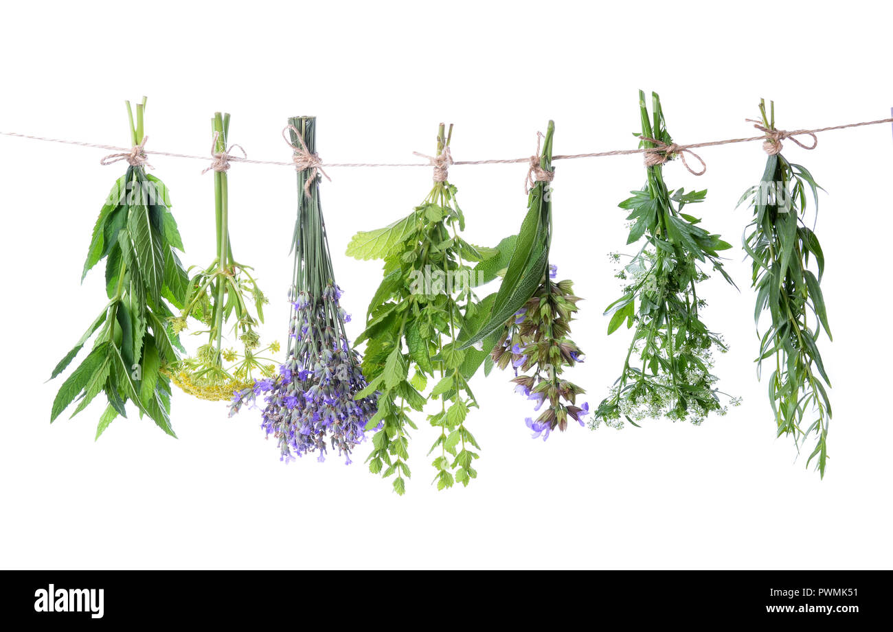 Hanging spices sale