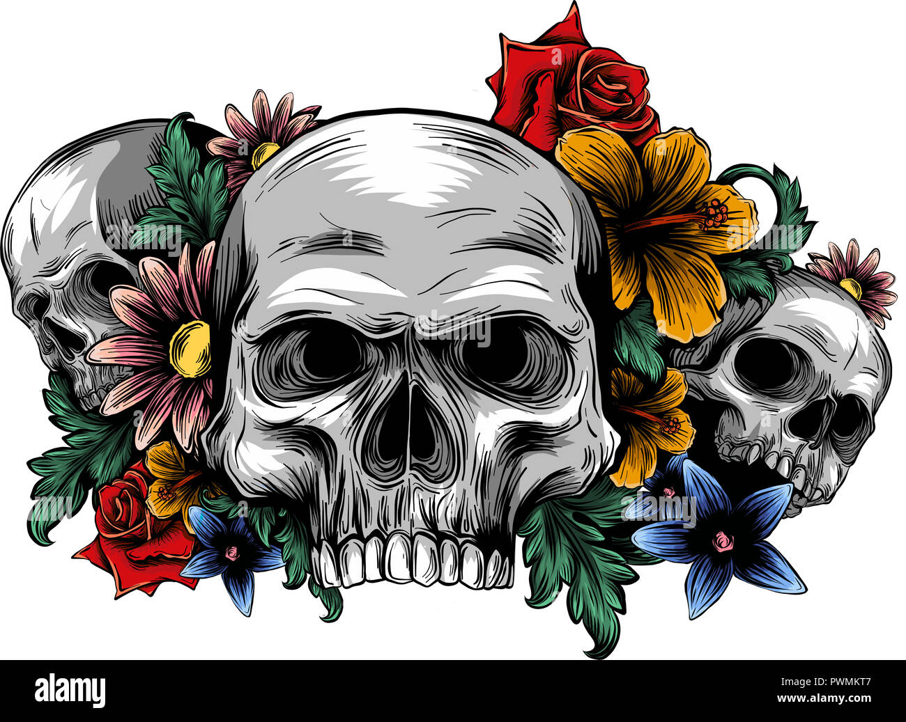 A human skulls with roses on white background Stock Photo