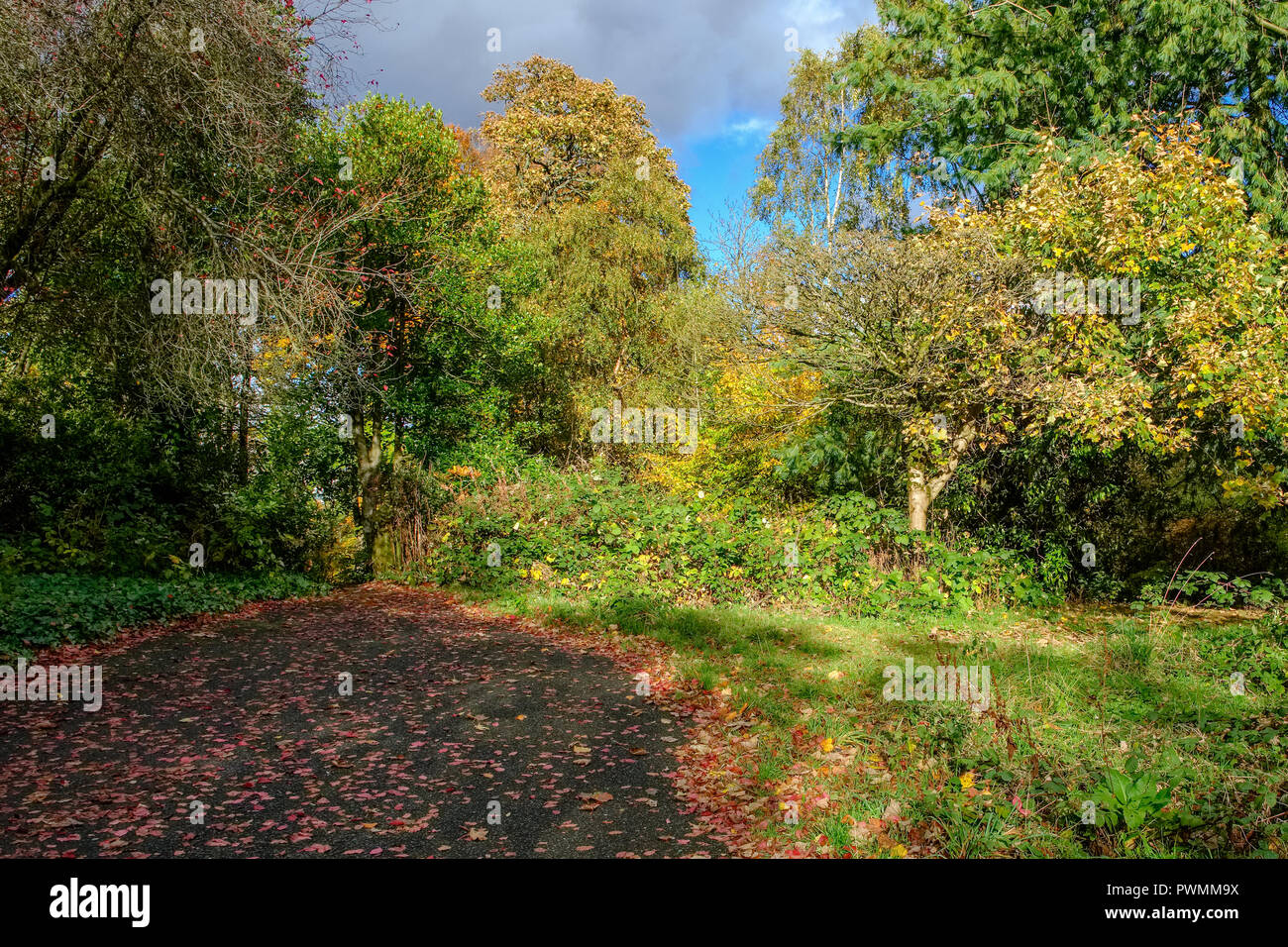 Craigton park hires stock photography and images Alamy
