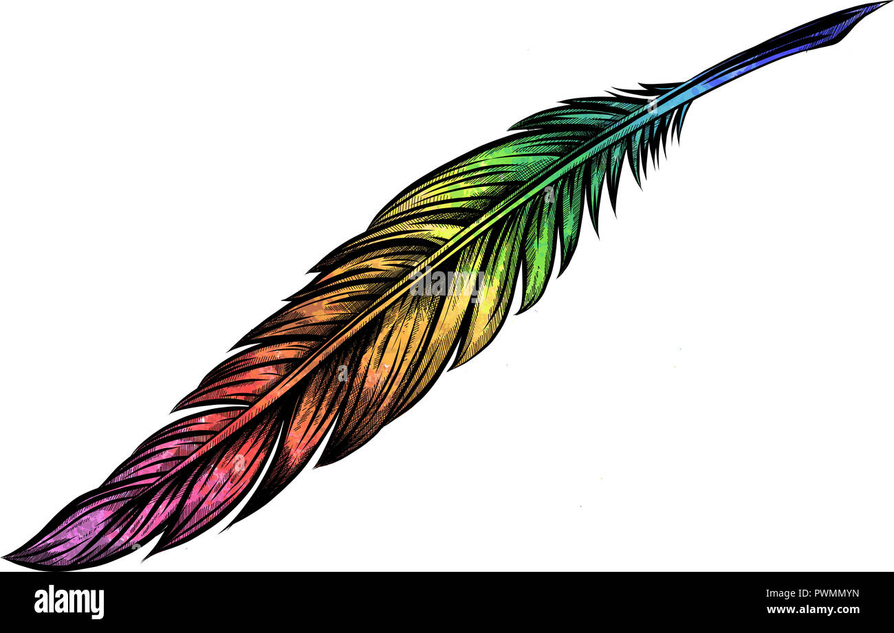 dibujo de plumas de colores Stock Illustration