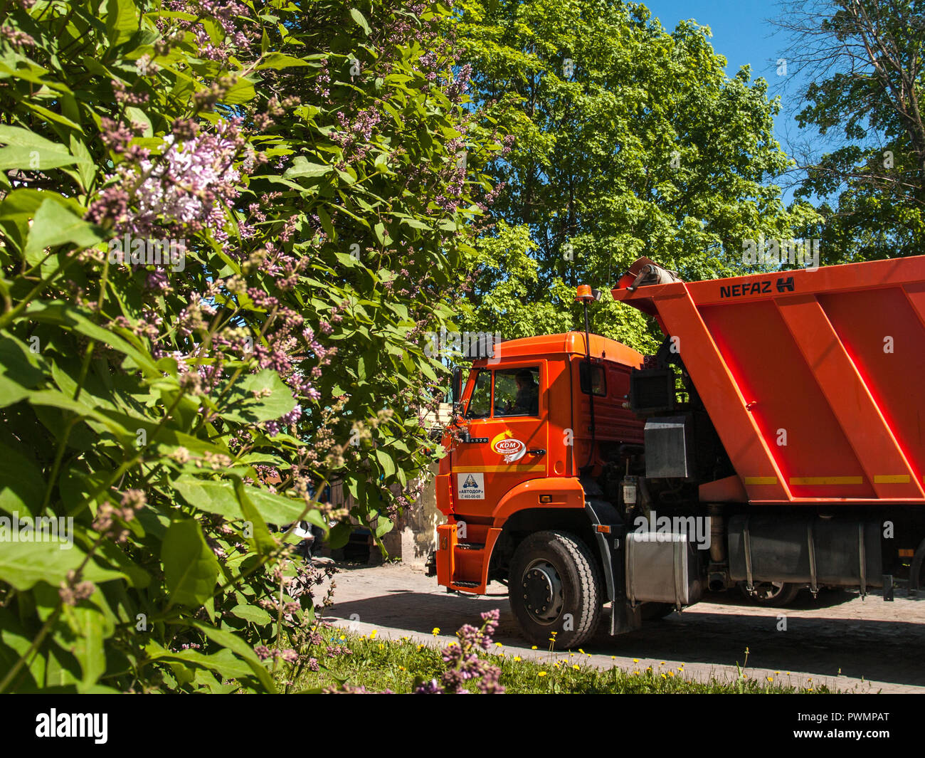 KAMAZ truck of orange color among green trees in the summer of 2018 in the city of St. Petersburg Stock Photo