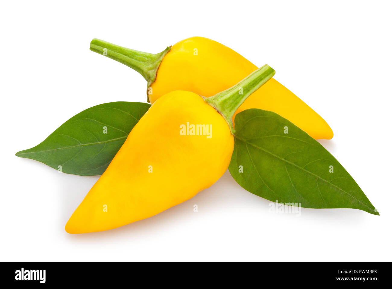yellow chilli pepper path isolated Stock Photo Alamy