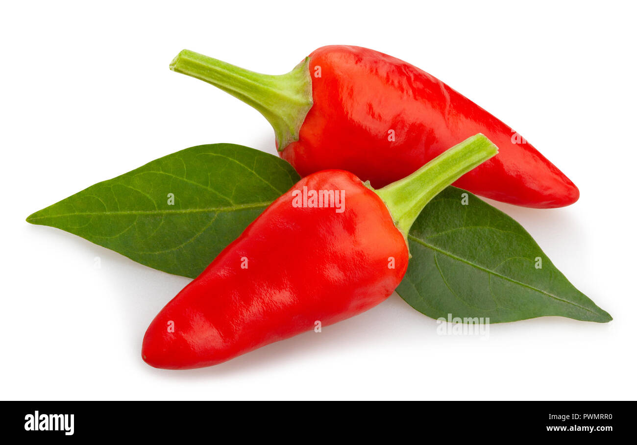 red chilli pepper path isolated Stock Photo