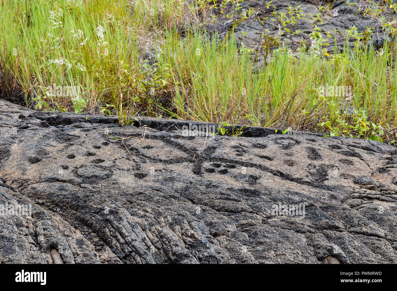 Petroglyphs  at Pu'uloa (Long Hill) along the Chain of Craters road, in volcano National Park on the island of Hawaii. The drawings are 400-700 years Stock Photo