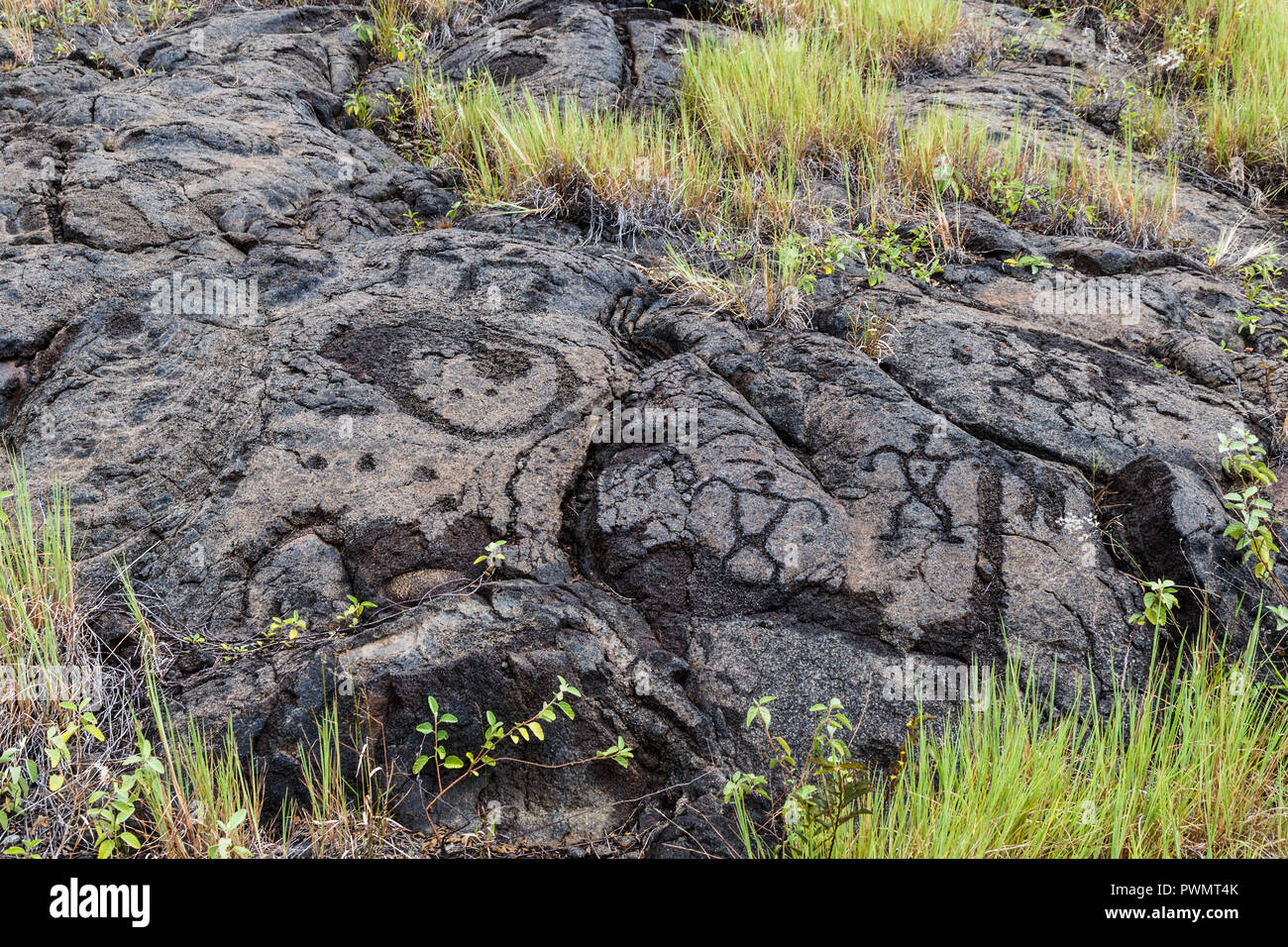 Petroglyphs  at Pu'uloa (Long Hill) along the Chain of Craters road, in volcano National Park on the island of Hawaii. The drawings are 400-700 years Stock Photo