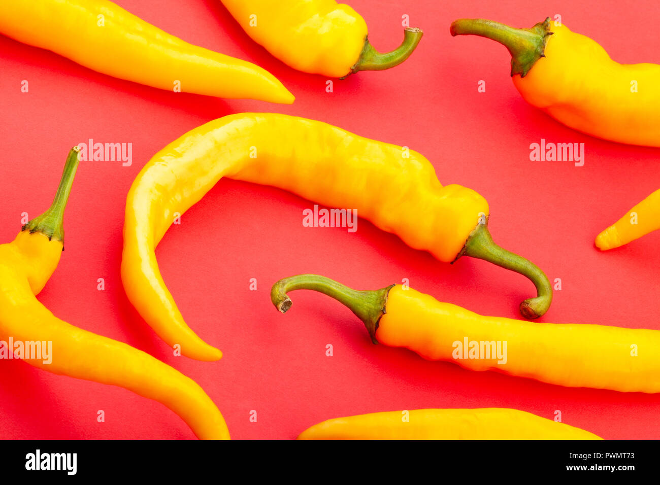 yellow chilli pepper on red background Stock Photo