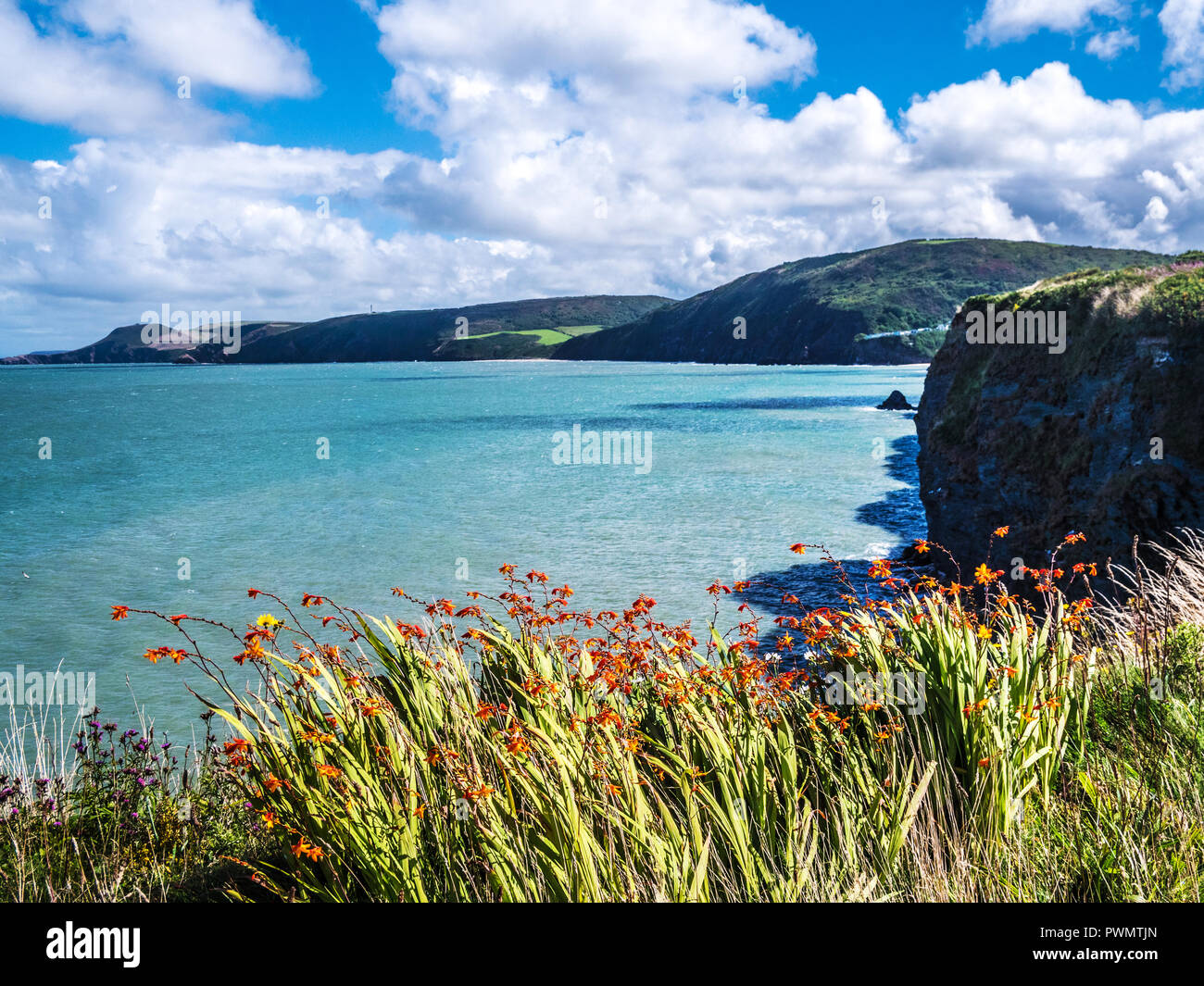 View from the coastal path towards Tresaith on the Welsh coast in Ceredigion. Stock Photo
