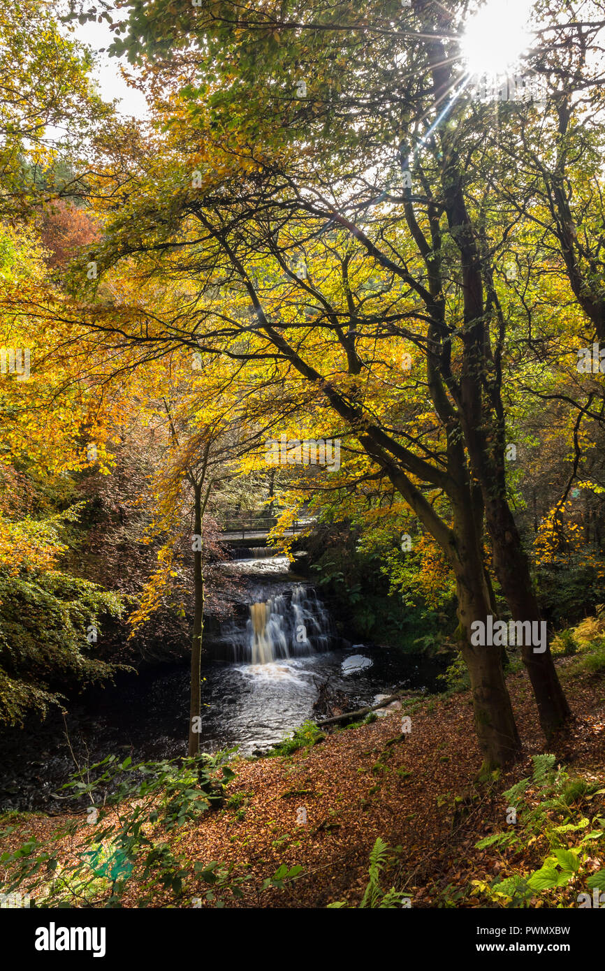 Blackling Hole in Autumn, Hamsterley Forest, County Durham, UK Stock Photo
