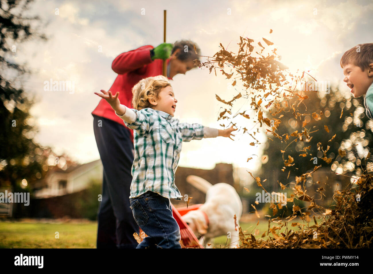 Grandmother raking leaves with grandsons. Stock Photo