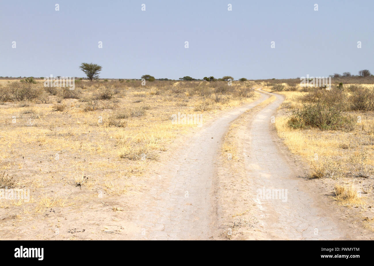 Sandy road in Botswana, driving through the Kalari desert Stock Photo
